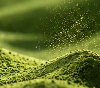 Matcha Wang辅助AI视觉，非真实门店照片